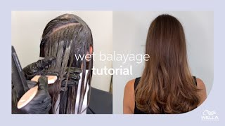 How To Do A Wet Balayage With Blondor amp Shinefinity  Wella Professionals [upl. by Neehsas]