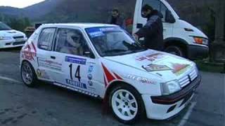 dommerdich 205 maxi rallye des bauges 2007 by rallyshot [upl. by Nadirehs709]