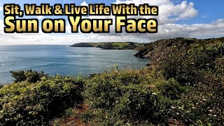 A Devon Coastal Walk and Foraged Sea Beet and Seafood Stew [upl. by Ayotan652]