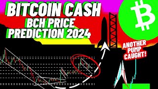 Bitcoin Cash Crypto Coin Price Analysis And Prediction  BCH Price Prediction 2024 [upl. by Esinev]