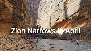 Zion Narrows What is it like to hike in April [upl. by Sinnelg255]