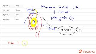 Choose the number of diploid structures in the list given below  Pollen grains nucellu [upl. by Claresta]