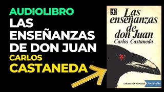 AUDIOLIBRO ENSEÑANZAS DE DON JUAN  Carlos Castaneda Audiobook Completo en Español [upl. by Tice]