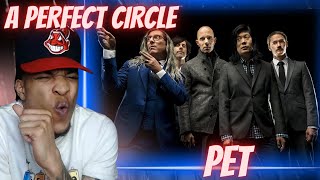 FIRST TIME HEARING  A PERFECT CIRCLE  PET  REACTION [upl. by Iglesias]