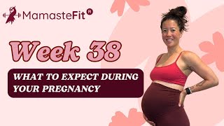 Week 38 What to Expect During Your Pregnancy  Ginas Pregnancy Journey [upl. by Car748]