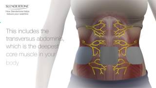 Reduce Your Waistline With Slendertone 3D Animation [upl. by Asirret]