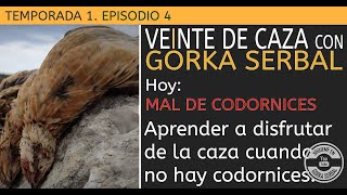 🟡Temporada 1  Episodio 4  DESAPRENDE A CAZAR LA CODORNIZ Mal de codornices bien de actitud [upl. by Ahsiki]