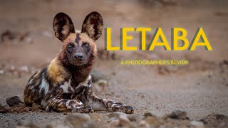 LETABA REST CAMP  A PHOTOGRAPHERS REVIEW [upl. by Felisha]