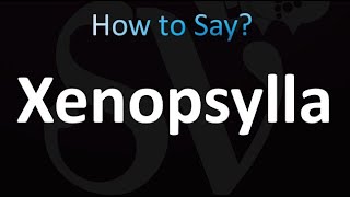 How to Pronounce Xenopsylla correctly [upl. by Ammon]