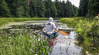 Quiet Wilderness Fly Fishing From A Canoe [upl. by Aehtorod]