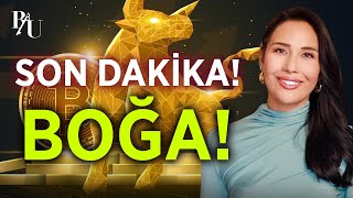 SON DAKİKA BOĞA  BESTE UYANIK [upl. by Godred]