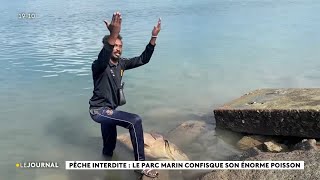 Pêche interdite  le parc marin confisque son énorme poisson [upl. by Lux]