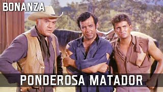 Bonanza  Ponderosa Matador  Episode 149  AMERICAN SERIES  Cowboys  Wild West  English [upl. by Lehrer137]