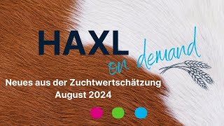 HAXL on demand  ZWS August 2024 [upl. by Alehtse]