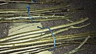 Seasoning sticks in the attic for Walking Sticks and Shillelaghs [upl. by Nosdivad316]