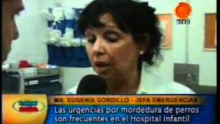 Hospital de niños  mordeduras de perros 201102073gp [upl. by Yahs]