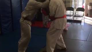 Shidokan karate pad training [upl. by Melvyn]