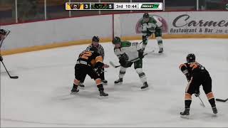 Austin Bruins  Minnesota Wilderness  highlights  101817 [upl. by Aneel]