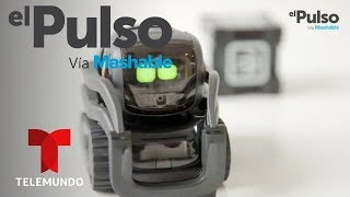 El Pulso  POWER UP Vector de Anki review en español robot de casa con personalidad  Telemundo [upl. by Seigel743]