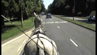 Breaking a grey gelderlander horse for carriage driving  Barry Hook [upl. by Reede]