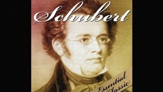 The Best of Schubert [upl. by Henke298]