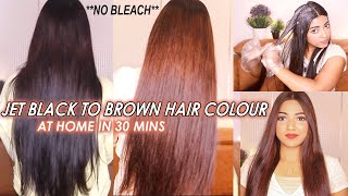 I coloured my Jet BLACK Hair to Golden BROWN Hair without BLEACH at home ✨Hair Transformation [upl. by Rorke]