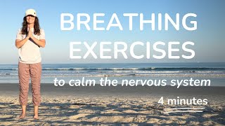 3 Breathing Exercises to Calm the Nervous System  Kids Yoga Video [upl. by Aivatnahs260]