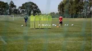 Alessandro Del Piero practises his free kicks Again and again and again [upl. by Ecinev]