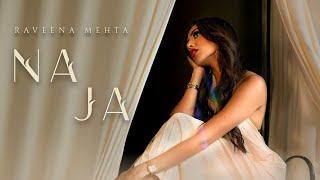 Na Ja  Raveena Mehta  Ysoblue  Official Music Video [upl. by Atiuqad]