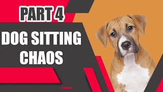 DogSitting Chaos Part 4  The Great Escape  Dogs Are Lost [upl. by Haerle]