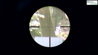 Vortex Viper PST 624x50 SFP reticle EBR1 MRAD subtensions [upl. by Munford]