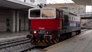 Treni Merci e Locomotive Speciali  Train Spotting  St di Padova 2013 [upl. by Horn105]