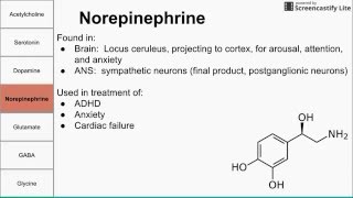 Neurotransmitters of the human body [upl. by Ackerman]