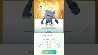 LUNDO ANNIHILAPE LEVEL 50 MAXOUT  Happy maxoutmonday in pokemongo [upl. by Cyb]