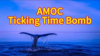 Climate’s Ticking Time Bomb  The Impacts Of AMOC Breakdown [upl. by Nigen]