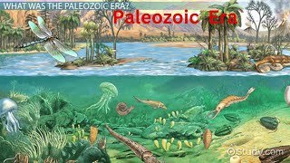 Paleozoic era CambriaPeriod OrdovicianPeriod SilurianDevonian Carboniferous tetrapods [upl. by Neirbo]