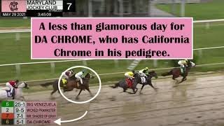 UPDATE he’s dead DA CHROME Killed in the mud at Pimlico 52921 [upl. by Liam704]