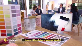 Comment bien choisir sa peinture murale [upl. by Nniuq]