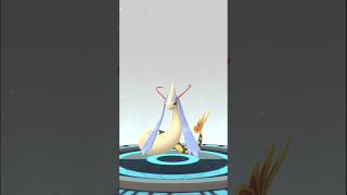 Shiny Feebas Evolve Into Shiny Milotic  Pokemon Go [upl. by Hobard]