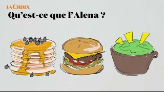 Qu’estce que l’Alena   Le tour de la question [upl. by Hedi]