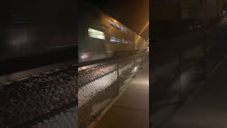 Metra 111 Ingleside IL February 2020 [upl. by Gombach]