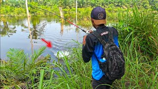 HATIHATI SAAT BANJIR BANYAK PREDATOR DITEMPAT TAK TERDUGA 😨 [upl. by Akire]