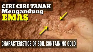 ANDA WAJIB TAHU CIRI CIRI TANAH YANG MENGANDUNG BANYAK KADAR EMASNYADIY Gold Nugget INDONESIA [upl. by Peer758]