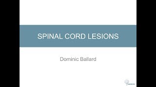 Spinal Cord Lesions [upl. by Nanon7]