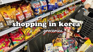 shopping in korea vlog 🇰🇷 grocery food haul with prices 🍑 cheap or expensive 💸💸 [upl. by Aseneg]