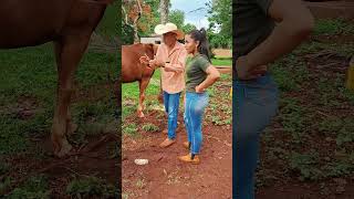 Deu certo fazenda roca vidanaroça sitio nature videoengraçado humor coisasderoca comedia [upl. by Accebber]