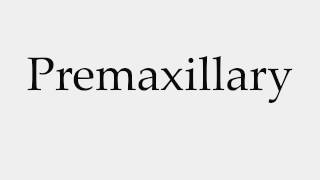 How to Pronounce Premaxillary [upl. by Eirrahs]