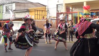 Pasacalle Festividad San Martin De Porres 2024 [upl. by Heer994]