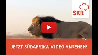 7 Gründe für Ihre Südafrika Reise [upl. by Ymia]