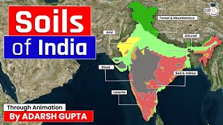 Soils of India Explained through 3D Animation  Indian Geography  UPSC GS1 [upl. by Arodoeht]